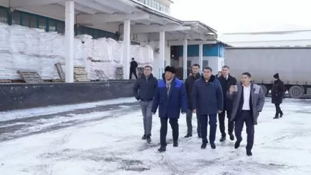 Түркістан облысында бидай өңдейтін заманауи зауыт жаңғыртылып, іске қосылды