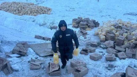 Полицейские и волонтеры помогли водителю съехавшего в кювет грузовика в ВКО 