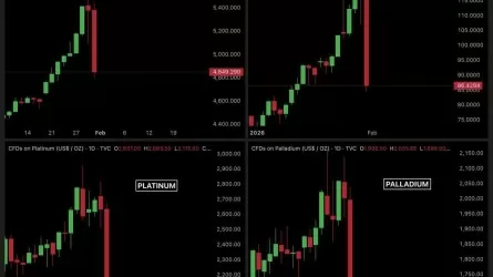 Крупнейший обвал за десятилетия произошел на рынке драгметаллов