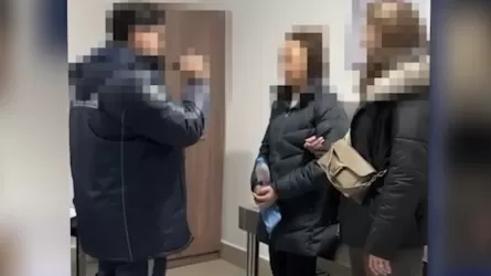 6,5 млрд теңге пайда тапқан: Қаржы пирамидасын құрған әйел Грузиядан экстрадицияланды