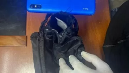 Қарт ана түрмедегі ұлына жасырын түрде телефон өткізбек болған