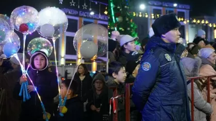 ІІМ: Жаңа жыл түнінде ауыр және аса ауыр қылмыстар тіркелген жоқ 