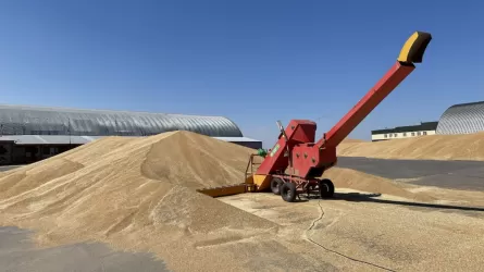 Қазақстан Парсы шығанағы елдеріне бидай жеткізуге бекініп отыр