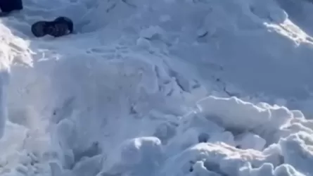 10-летнюю девочку насмерть завалило снегом на улице в России 