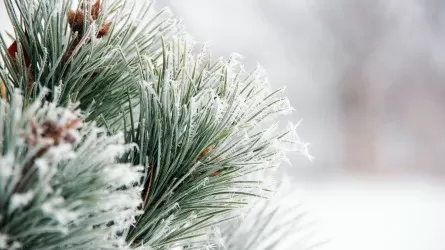 Казахстан накрыла опасная погода: крещенские морозы до минус 40 