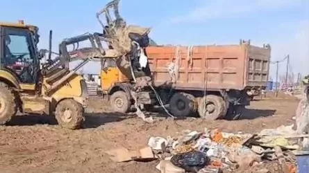 Незаконную свалку выявили вблизи Алатау  