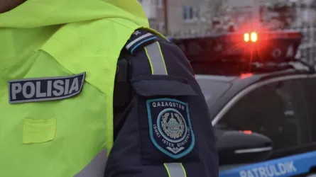 Алматыда есірткі тасымалдаған шетелдік ұсталды