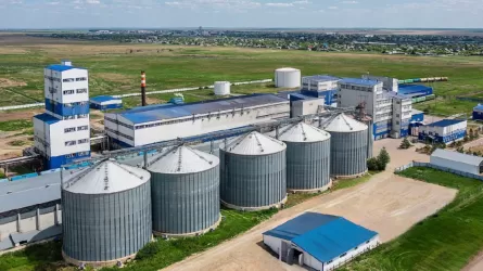 Пшеничный глютен из Казахстана впервые поставили в Японию 