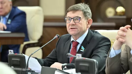 Депутат: Закрепляя в Конституции "Таза Қазақстан", мы сохраняем ответственность перед будущим поколением