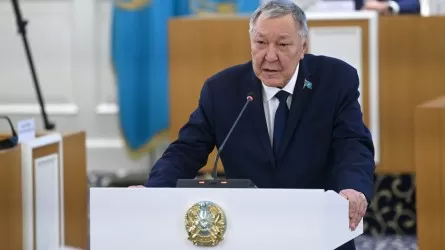 Белгілі заңгер Конституцияға өзгерістер туралы пікір білдірді