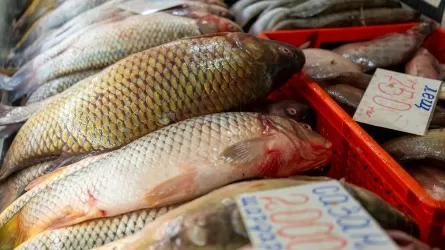 Рыбоводам компенсируют до 85% затрат на воду в РК