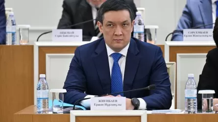 Как будут назначать вице-президента Казахстана 