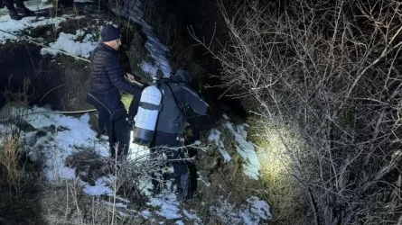 Алматы облысында суға батып кеткен төрт баланың бірі қаза тапты