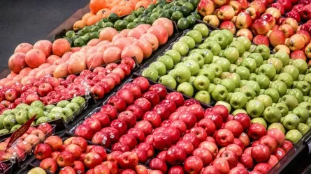 Казахстан хочет освободить экспортеров овощей от таможенной пошлины  