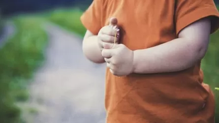 Утверждена первая масштабная программа "Дети Казахстана" 