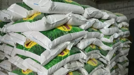 Түркістан облысында күріш өңдеу цехы іске қосылды