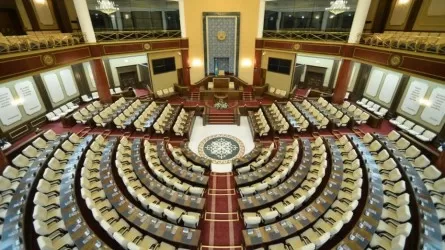 Зачем Казахстану однопалатный парламент и почему не снизили партийный порог 