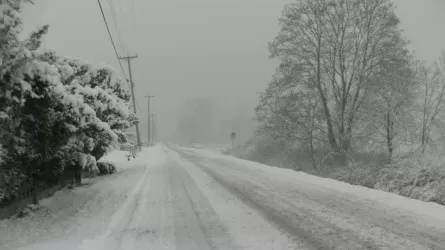 Туман, метели и гололед: Казахстан накрывает сложная погода