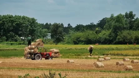 Долг государства перед фермерами достиг 341 млрд тенге 