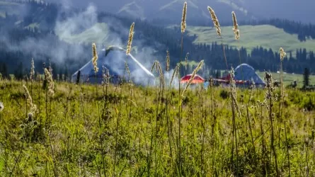 У недобросовестных владельцев забрали земли в Акмолинской области  