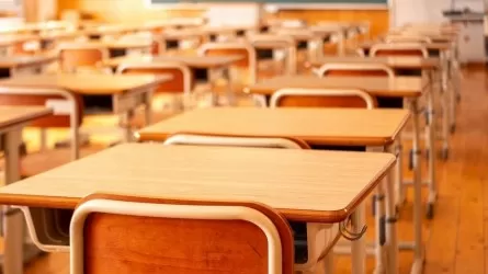 На дистанционку перевели школьников двух регионов Казахстана   