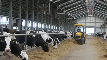 Лизинг агропредприятий опасен для бюджета РК 