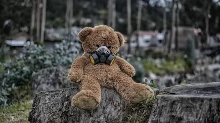 МВД раскрыло незаконную вырубку саксаула в заповеднике 