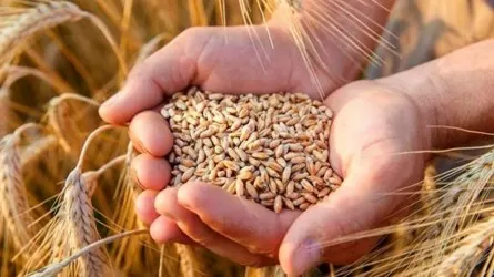 Қытайға ауыл шаруашылығы өнімдерін экспорттау мәселелері талқыланды