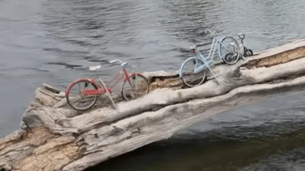 Велосипеды на бревне превратились в необычный символ города