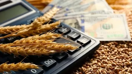 Бюджетные средства концентрировались у ограниченного круга получателей субсидий в РК 