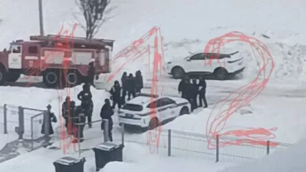 В России школьник ранил охранницу ножом 