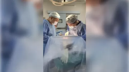 Шымкентте дәрігерлер 4 жасар баланың ішіндегі үлкен ісікті алып, өмірін сақтап қалды