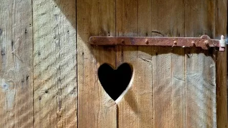 Ребенок провалился в яму уличного туалета в Жамбылской области