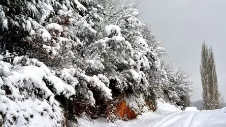 Мороз берет свое: зима усиливает хватку в регионах Казахстана