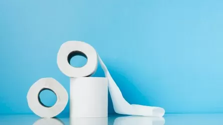 Казахстанцам не хватает отечественной туалетной бумаги