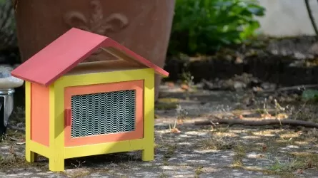 В Алматы выявили "резиновую" квартиру 