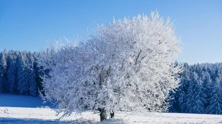 Казахстан накрывают резкое похолодание и метели 