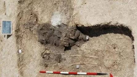 Тайна Плиния раскрыта: чем древние римляне чистили одежду 