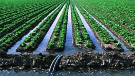 Как в РК наказали монополистов за нарушение тарифов на поливную воду 