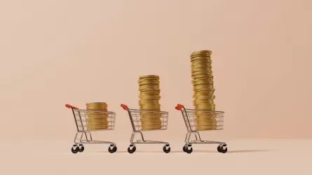 Үкімет инфляцияны 9-11%-ға дейін төмендету үшін шаралар қабылдайды