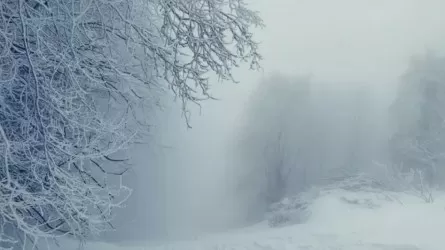 Алматы и 12 областей накроют снегопады и метель: штормовое предупреждение 