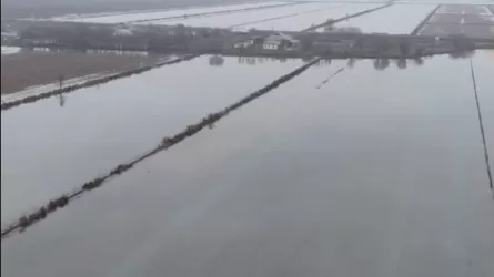 Борьба с засолением: масштабные работы проводят на юге РК 