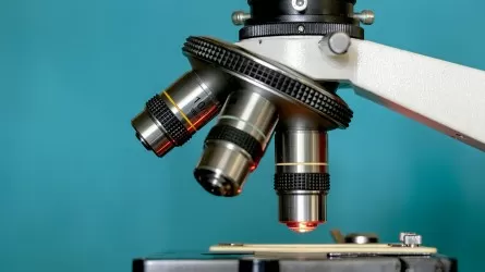 Инвестиции в науку в Казахстане рухнули почти вдвое 