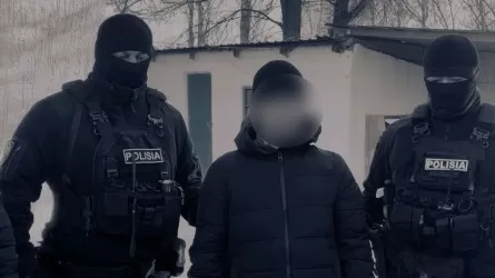 Расстрел в степи: под Алматы задержали банду, убивавшую скот прямо на пастбищах