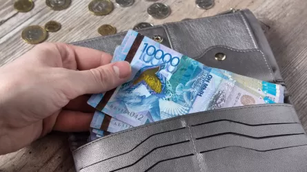 Мүгедектік және асыраушысынан айырылғандарға берілетін жәрдемақы көлемі өсті