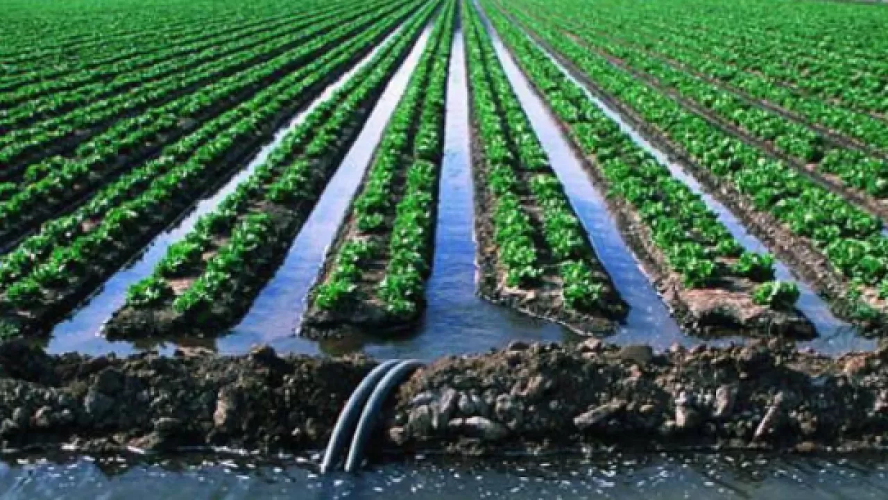 Как в РК наказали монополистов за нарушение тарифов на поливную воду 