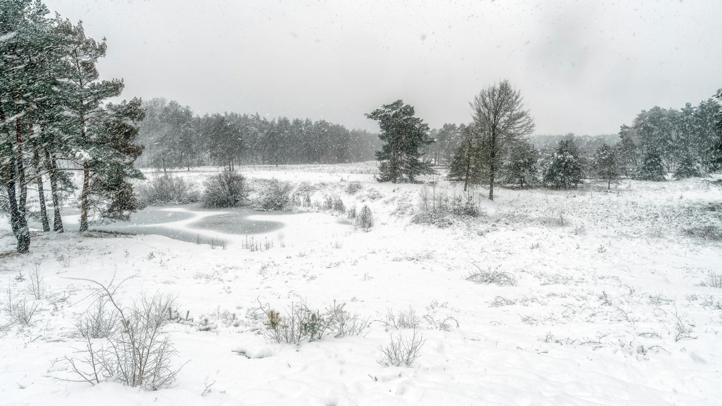 Дезинформацияға қарсы орталық: Жерді шетелдіктерге сату туралы жалған ақпарат таралуда