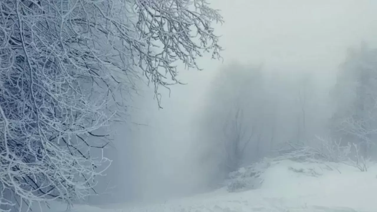 Алматы и 12 областей накроют снегопады и метель: штормовое предупреждение 