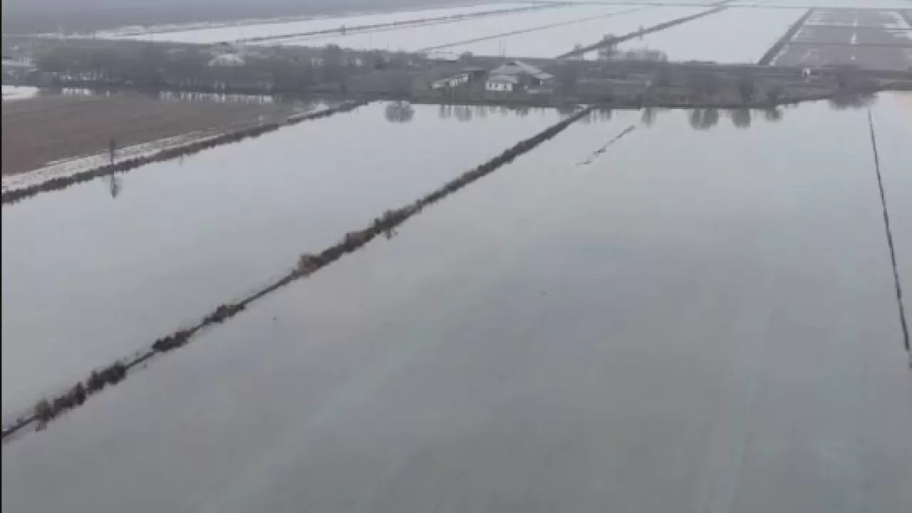 Борьба с засолением: масштабные работы проводят на юге РК 