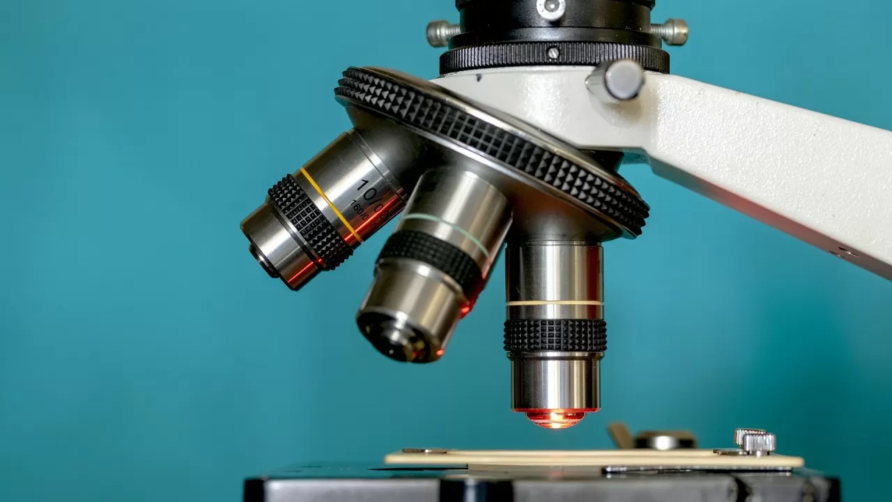 Инвестиции в науку в Казахстане рухнули почти вдвое 